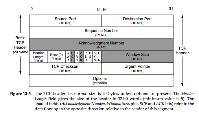TCP Header 2